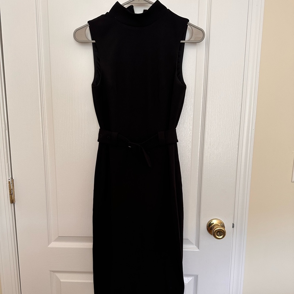 Express midi dress
